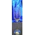 LsG Crystal Skleničky na šampus ručně ryté broušené dekor Labuť Sekt-740 190ml 6 Ks.