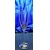 LsG Crystal Skleničky na šampus 42 x krystal SWAROVSKI ručně broušené dekor Cornelia dárkové balení satén CX-780 230 ml 6 Ks.