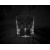 LsG Crystal Skleničky na Whisky 42 x krystal SWAROVSKI ručně broušené dekor Conni dárkové balení Bar-784 280 ml 6 Ks.